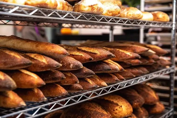 Bread Bandits in Sarasota, FL