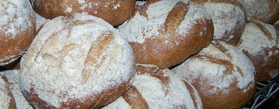 Blue Duck Bakery Cafe in Southampton, NY