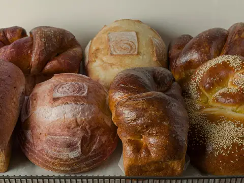 Sally Ann's Bakery in Concord, MA