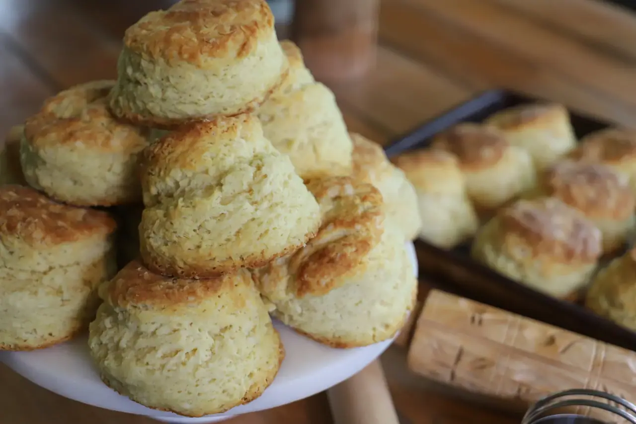 Shreveport Biscuit Company in Shreveport, LA