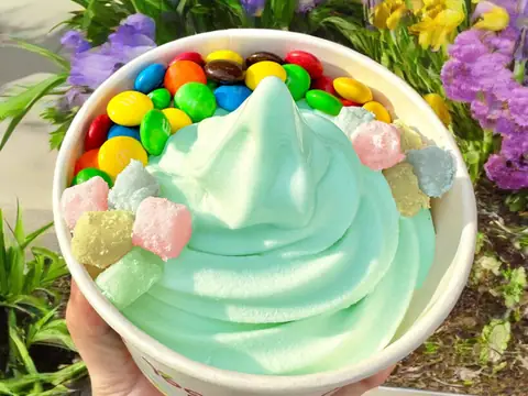 International Yogurt