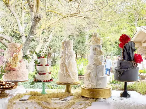 Frosted Cakery