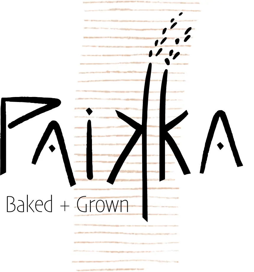 Paikka in McCall, ID