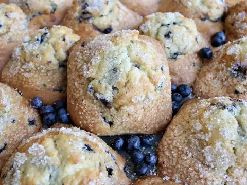 The Blueberry Muffin