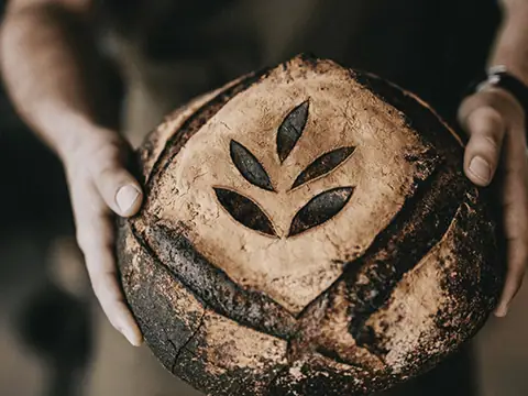 Europastry Usa