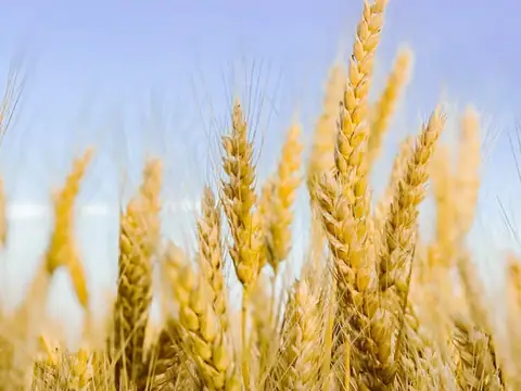 Kern River Milling in Bakersfield, CA