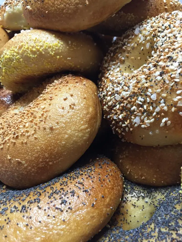 The Bagel Shop in Homer, AK