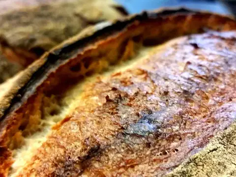 Midnight Bear Breads