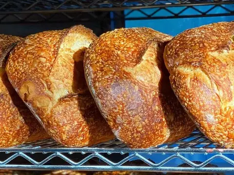 Flour Water Salt Bread in New Canaan, CT