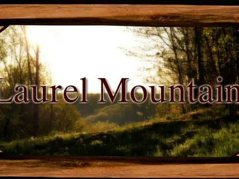 Laurel Mountain Bakery