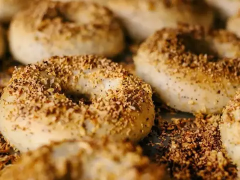 Bagelmania Coffee House