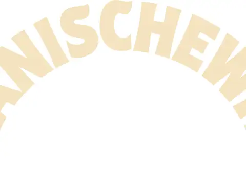 The Manischewitz Company