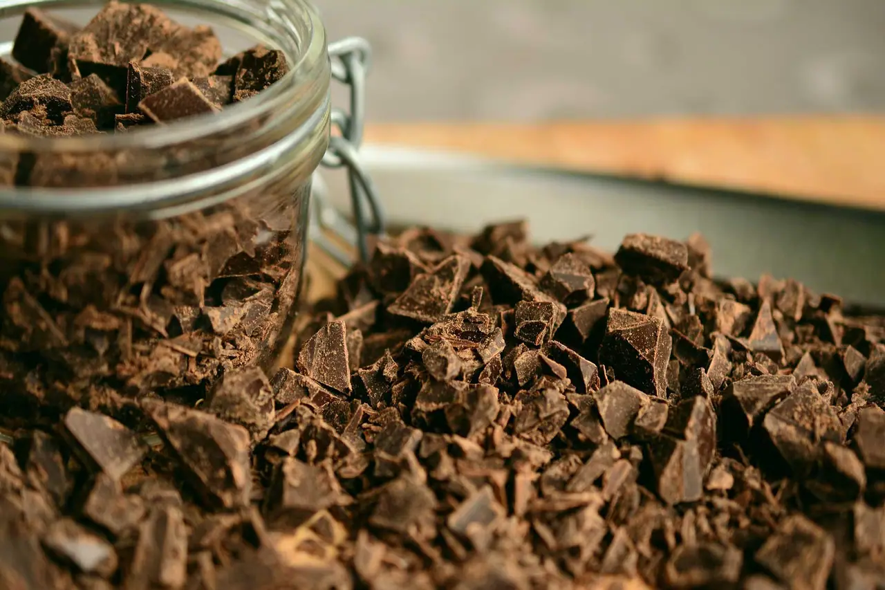 Bark Chocolate in Richardson, TX