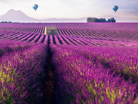 Newport Donut in Costa Mesa, CA