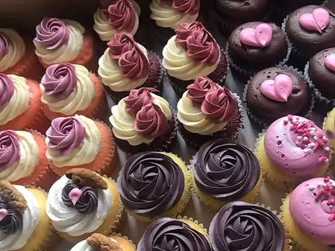 Cupcake Wonders