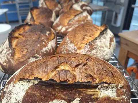 La Mouette Bread Shop in Eugene, OR