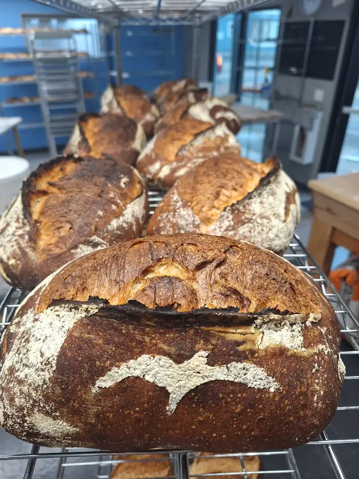 La Mouette Bread Shop in Eugene, OR