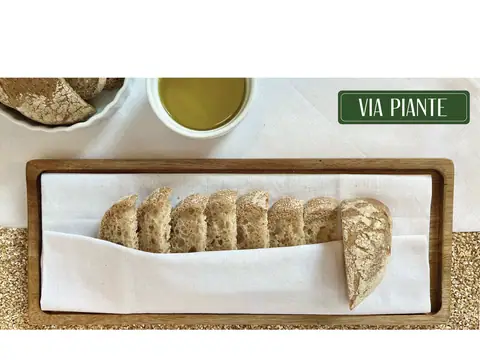 Via Piante in New York, NY