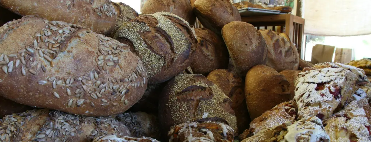 Wild Flour Bread in Freestone, CA