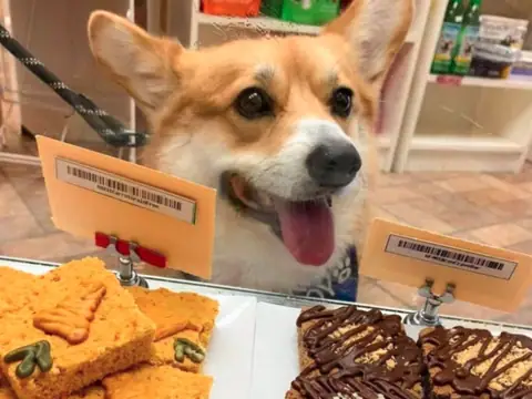 Jackboy's Dog Bakery