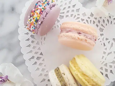 Boston Bonbon