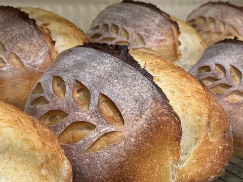 Wyld Tiger Sourdough