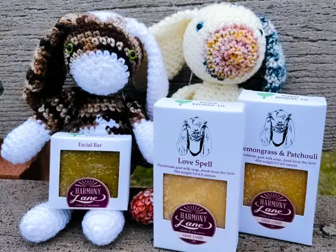 Harmony Lane Farm and Creamery