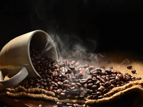 Saxonburg Coffee Company in Saxonburg, PA