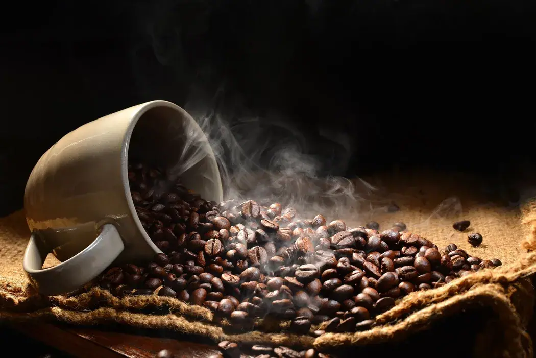 Saxonburg Coffee Company in Saxonburg, PA