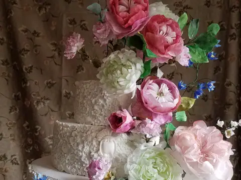 Amyscakesmn
