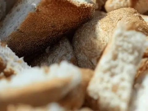 Bakery Feed