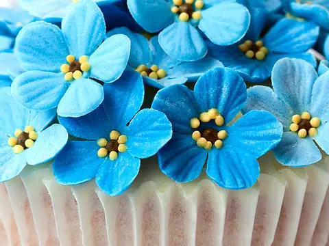 Confection Perfection in Richboro, PA