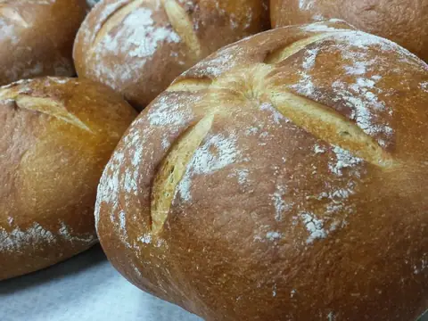 Superior Bakery in Fayetteville, NC