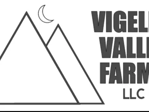 Vigelem Valley Farms Llc