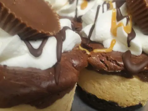 Josef's Cheesecake Cupcakes