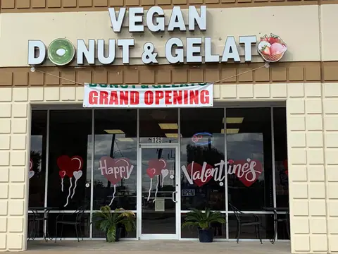 Vegan Donut & Gelato