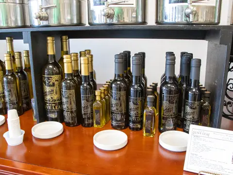 Bloomington Chocolate Company's Kirkwood Sweet Shop