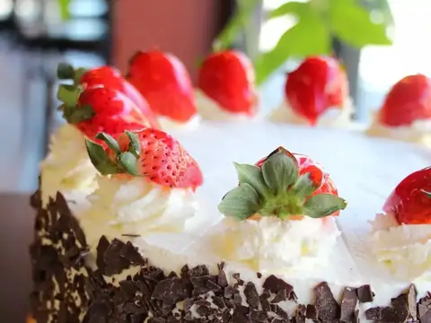 U Knead Sweets Bakery