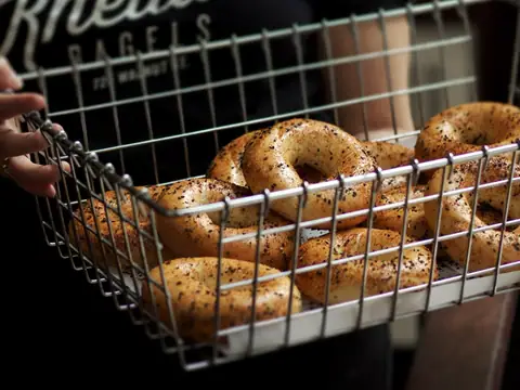 Knead Bagels