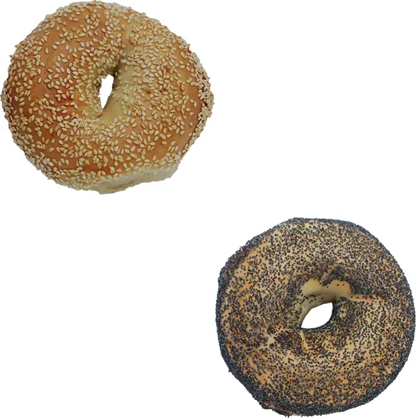 Big Daddy Bagels in Golden, CO