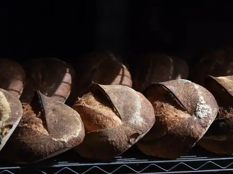Ad Astra Bread Co