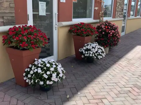 Main Street Bakery NPR in New Port Richey, FL