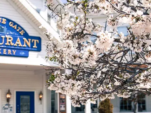 Blue Gate Restaurant & Bakery