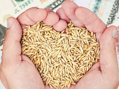 Ricetec in Eagle Lake, TX