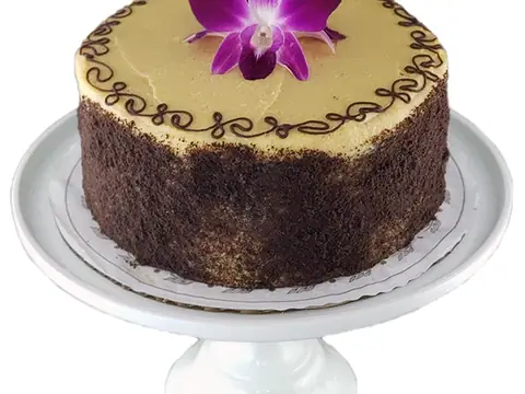 Andrea's World of Cakes