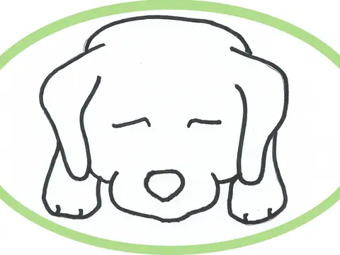 Lazy Labs Bakery in Fishers, IN