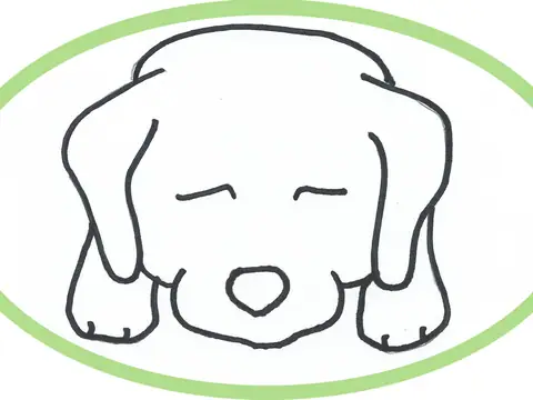 Lazy Labs Bakery