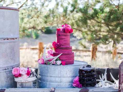 Delicious Designs Llc in Reno, NV