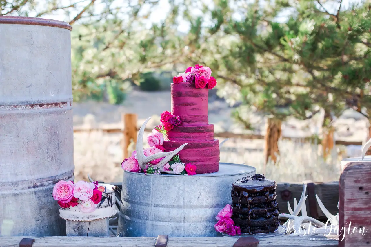 Delicious Designs Llc in Reno, NV
