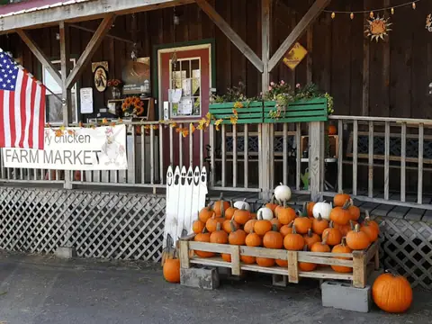 Hungry Chicken Country Store in Schenectady, NY